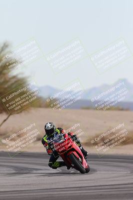 media/Nov-30-2025-TrackXperience (Sun) [[c0061d280f]]/2-Level 2/Session 6 Turn 4 Tree of Life/